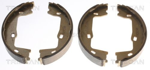 TRISCAN Sada brzd. čeľustí parkov. brzdy 8100 24005 Čeľustí parkovacej brzdy CHEVROLET TRISCAN 8100 24005