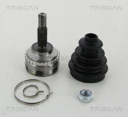 TRISCAN Kit giunti semiasse 8540 25120 8540 25120 Giunto omocinetico RENAULT TRISCAN costo