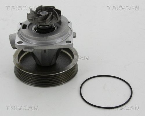 TRISCAN Vesipumppu 8600 10080 8600 10080 TRISCAN Vesipumppu Peugeot 407 hinta