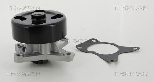 TRISCAN Vannpumpe 8600 25092 Vannpumpe TRISCAN JUKE 8600 25092 billige