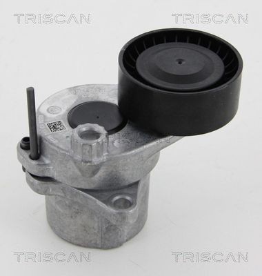 TRISCAN Spannarm, Keilrippenriemen 8641 233022 8641 233022 Riemenspanner HYUNDAI COUPE TRISCAN kaufen