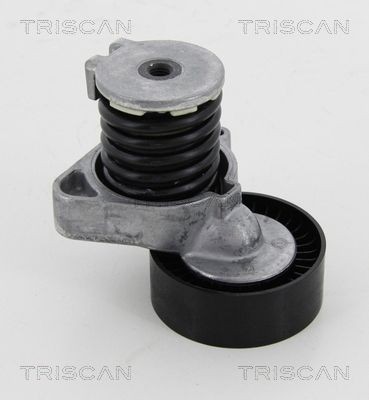 TRISCAN Spanner, Poly V-riem 8641 233024 V snaar spanner TRISCAN A-Klasse 8641 233024 goedkoop