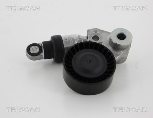 TRISCAN Spannarm, Keilrippenriemen 8641 433004 Spannarm Keilrippenriemen TRISCAN Hyundai COUPE 8641 433004