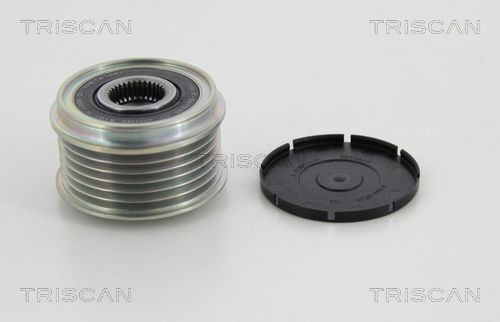 TRISCAN Voľnobeżka alternátora 8641 434006 Remenica alternátora TRISCAN i30 8641 434006 lacné