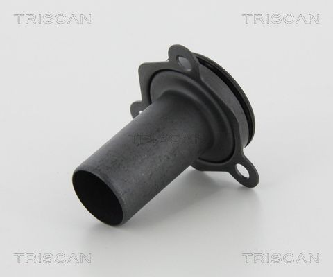 TRISCAN Pesunestepumppu, lasinpesu 8870 29101 8870 29101 TRISCAN Lasinpesurin pumppu PEUGEOT 206