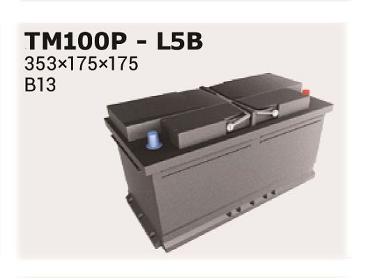 IPSA Starterbatteri TM100P Bilbatteri IPSA Lancia DEDRA TM100P