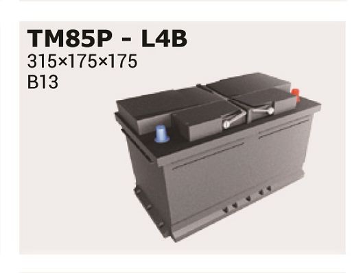 IPSA Startbatteri TM85P Bilbatteri IPSA IBIZA TM85P billige
