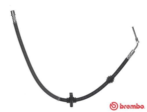BREMBO Ελαστικός σωλήνας φρένων T 61 059 Ελαστικός σωλήνας φρένων Citroën TD_ T 61 059 BREMBO