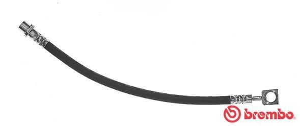 BREMBO Brake hose T 59 081 BREMBO Essential T 59 081 Brake hose