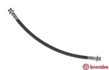 Bremseslange BREMBO T 56 141 BREMBO Essential T 56 141 Bremseslange NISSAN MICRA 2003