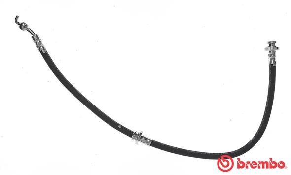 Bremseslange BREMBO T 56 140 BREMBO Essential T 56 140: Bremseslange Nissan MICRA 2007