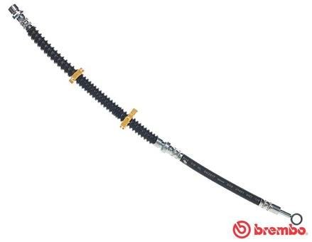 BREMBO Ελαστικός σωλήνας φρένων T 44 031 Ελαστικός σωλήνας φρένων Land Rover LN T 44 031 BREMBO