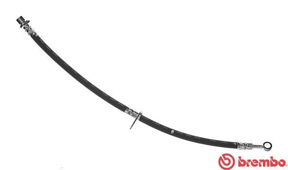 BREMBO Bremseslange T 28 092 Bremseslange BREMBO CR-V T 28 092 billige