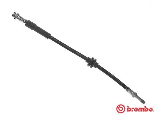Remslang BREMBO T 24 118 BREMBO Essential T 24 118 Remslang FORD FOCUS 2008