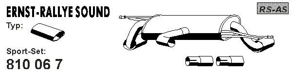 ERNST Silenziatore sportivo 810067 ERNST 810067 Silenziatore sportivo VOLKSWAGEN Polo VI (AW1, BZ1) 1.5 TSI 150 CV 2020