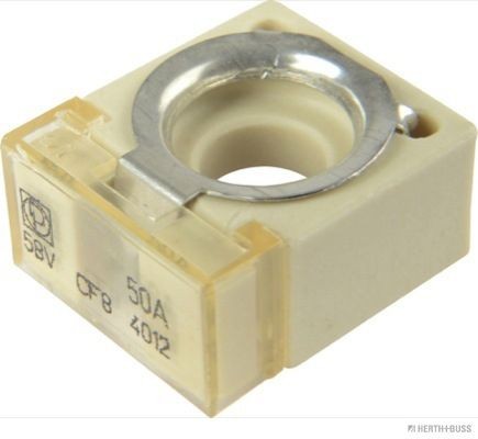 HERTH+BUSS ELPARTS Fusibile 50295880 50295880 Fusibile HERTH+BUSS ELPARTS Volkswagen GOLF costo