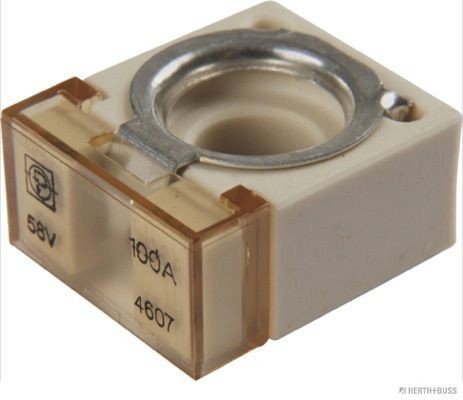 HERTH+BUSS ELPARTS Zekering 50295882 50295882 HERTH+BUSS ELPARTS Zekering Mazda goedkoop