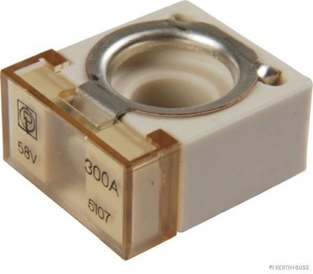 HERTH+BUSS ELPARTS Fusible 50295888 Fusible HERTH+BUSS ELPARTS SHUMA 50295888 pas cher