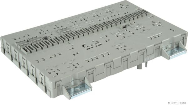 HERTH+BUSS ELPARTS Keskne elektrisüsteem 75896055 75896055 Keskne elektrisüsteem FIAT PUNTO HERTH+BUSS ELPARTS