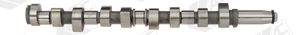 AE Camshaft CAM376 AE CAM376 genuine Ford Sierra MK2 camshaft kit price