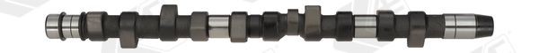 Arbre à came AE CAM442 AE CAM442 Kit arbre à cames Volvo XC 90 2020