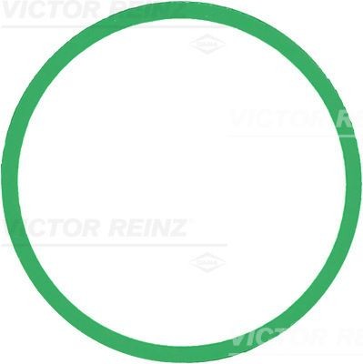 REINZ Τσιμούχα, πολλαπλή εισαγωγής 71-39303-00 REINZ Τσιμουχα πολλαπλής εισαγωγής LAND ROVER 71-39303-00
