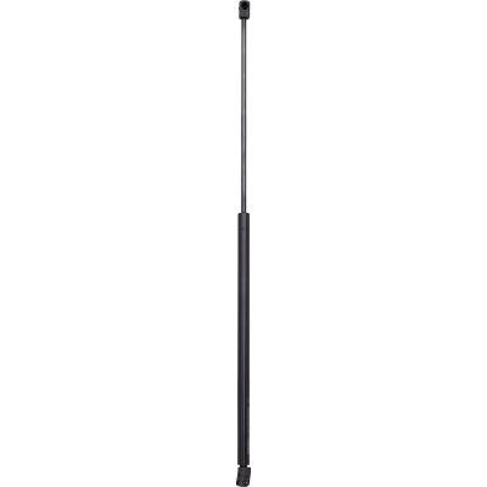 DIEDERICHS Ammortizzatore pneumatico cofano motore 9224500 9224500 DIEDERICHS Ammortizzatori cofano KIA prezzo