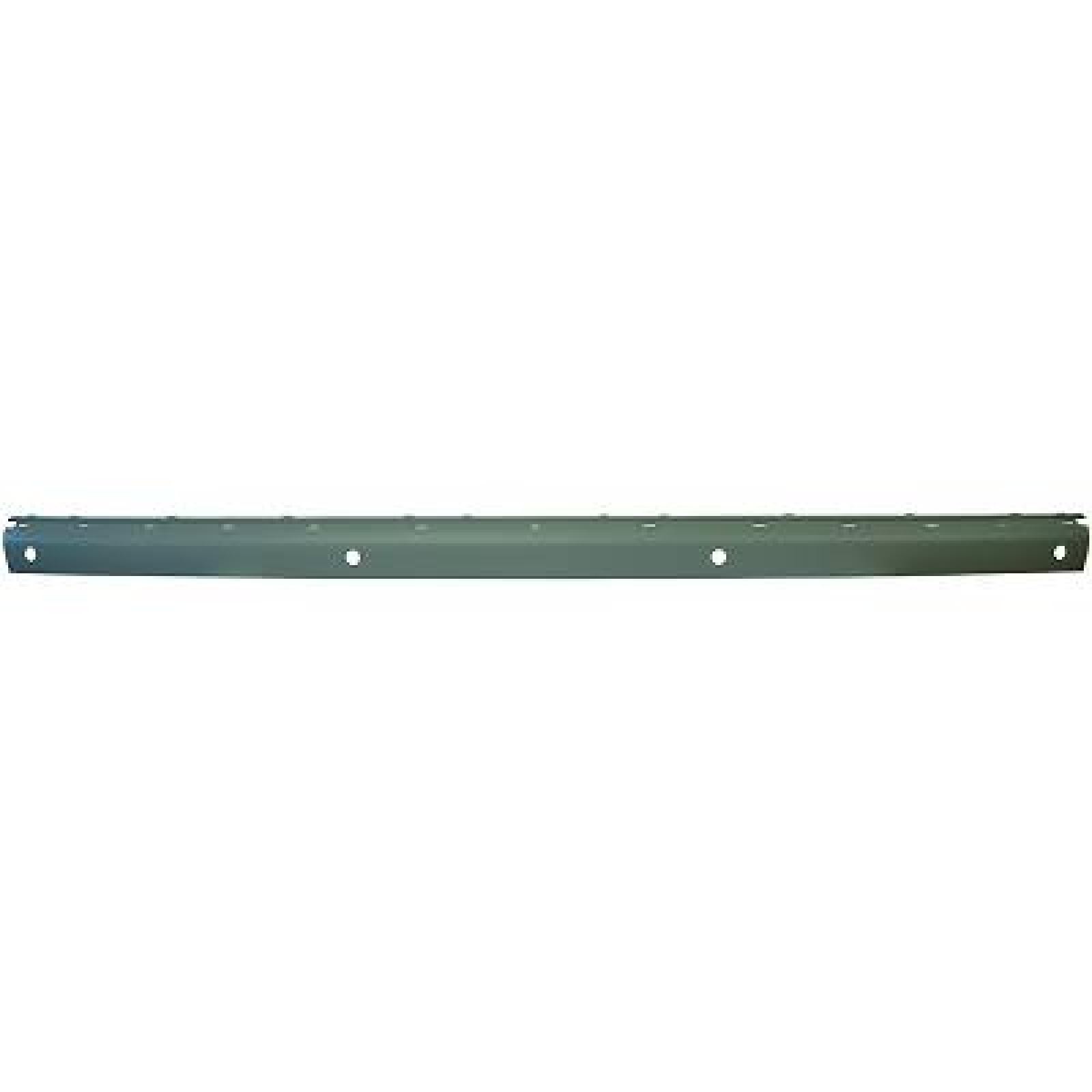 DIEDERICHS Friso de para-choques 1646255 DIEDERICHS 1646255 Friso de pára-choques Mercedes W220 baratos