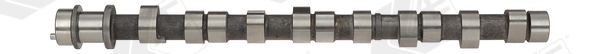 Kamaxel AE CAM390 AE CAM390 Kamaxlar HYUNDAI H100 2000