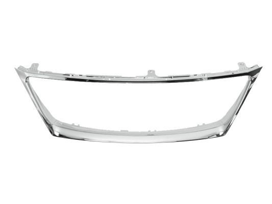 Rebordo, grelha de radiador BLIC 6502-07-8171991P BLIC 6502-07-8171991P Grelha de radiador LEXUS IS 2025