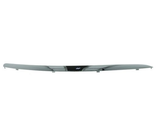 BLIC Friso de para-choques 6502-07-9544924P BLIC 6502-07-9544924P Friso de para-choques