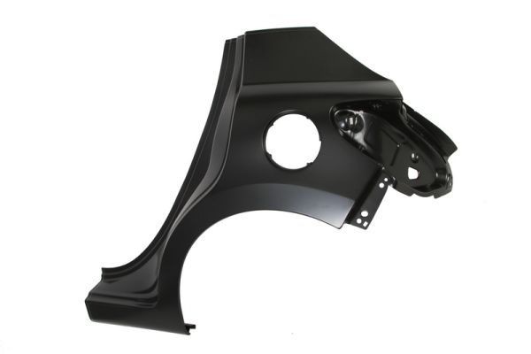 BLIC Wing fender 6504-01-5508513P BLIC 6504-01-5508513P Wing fender PEUGEOT 207 Hatchback 2.0 HDi 90 hp 2012