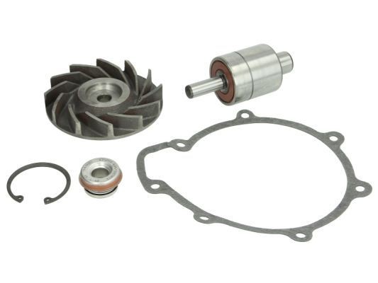 THERMOTEC Σετ στεγανοπ., αντλία νερού WP-MN111RK Στεγανοποιητικό υλικό THERMOTEC RENAULT WP-MN111RK
