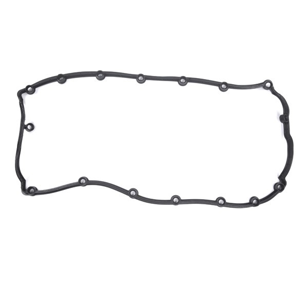 ELRING Rocker cover gasket 246.520 ELRING 246.520 Regal III rocker cover gasket price