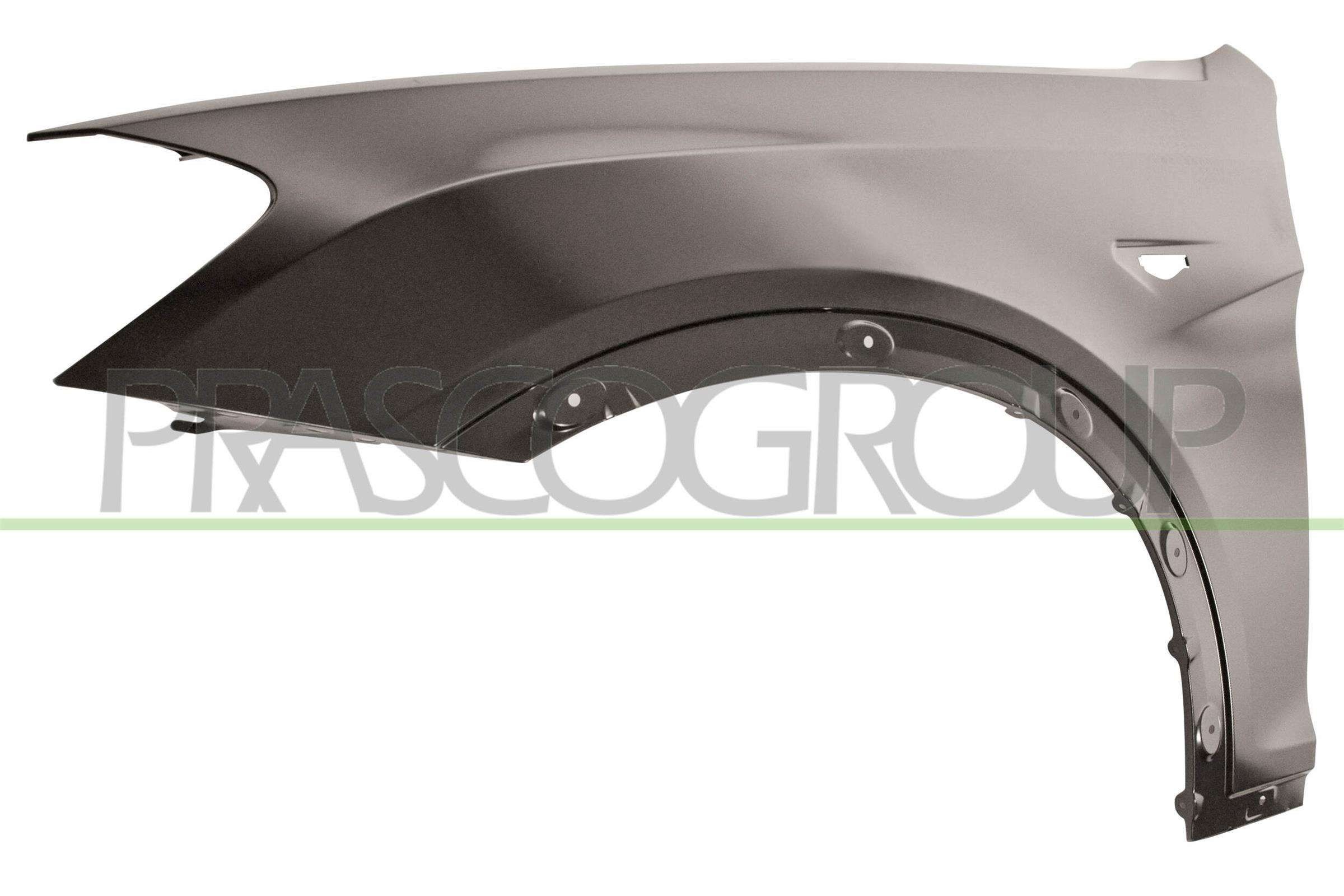 PRASCO Spatbord BM8043014 BM8043014 Voorscherm en achterscherm BMW X6 PRASCO