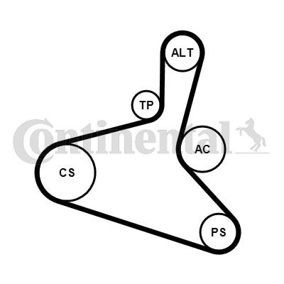 CONTITECH Poly V-riem set 6DPK1195K2 Ford TOURNEO CONNECT Accessoireriem CONTITECH 6DPK1195K2