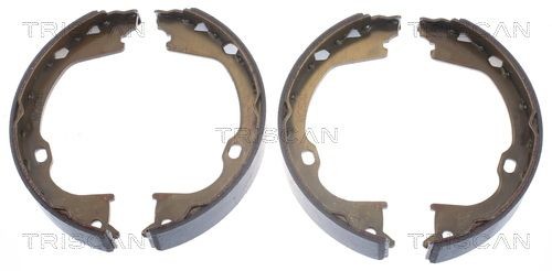 TRISCAN Handbromsbackar 8100 80019 8100 80019 TRISCAN handbromsbelägg SUZUKI VITARA