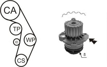AIRTEX Veepump + hammasrihmakomplekt WPK-199802 WPK-199802 Veepump + hammasrihma komplekt FORD TOURNEO COURIER AIRTEX