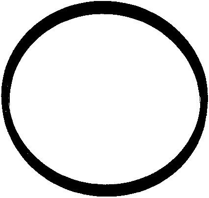 ELRING Tesnenie obalu kolena sacieho potrubia 216.790 ELRING 216.790 Tesnenie obalu kolena sacieho potrubia