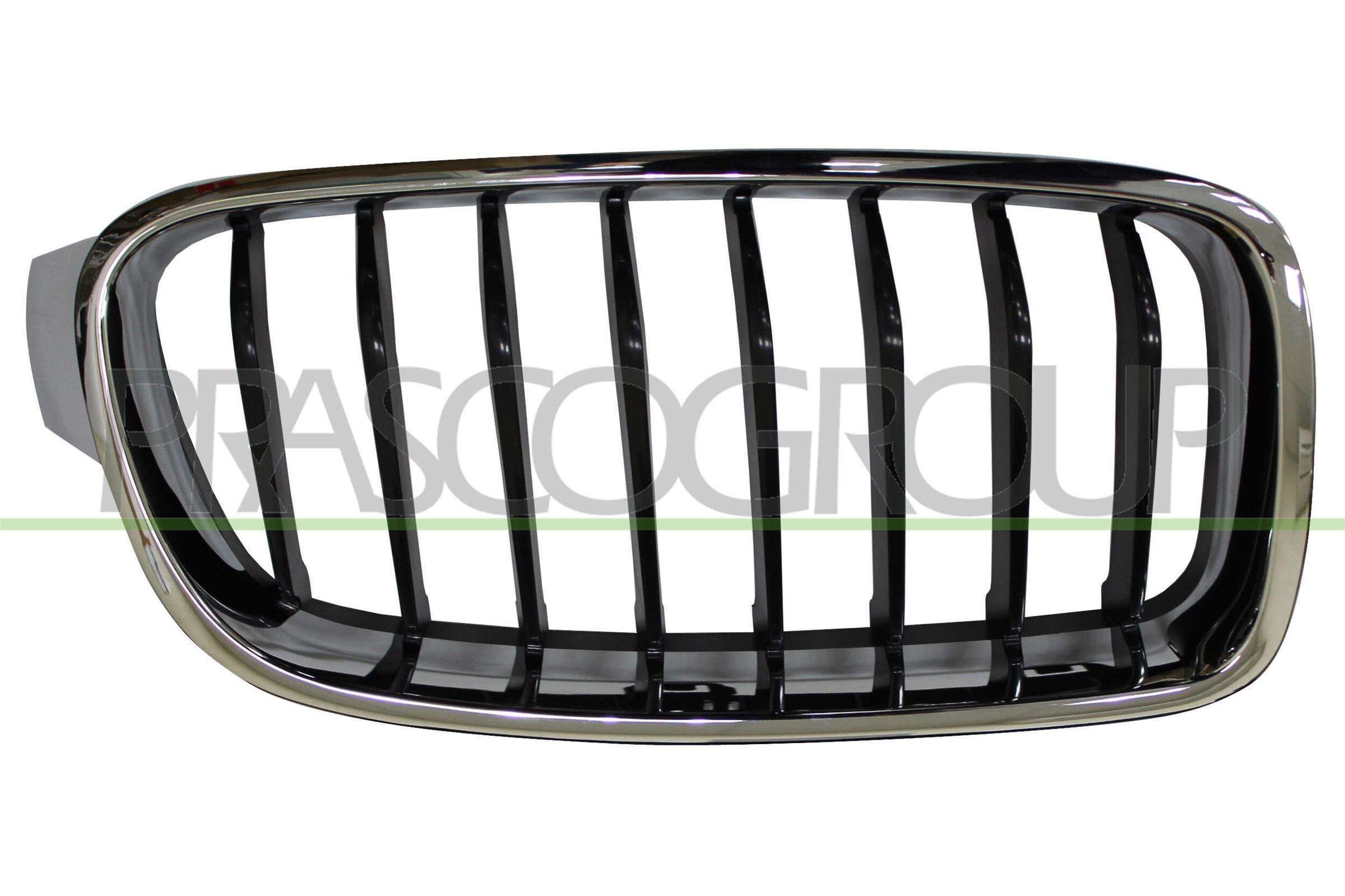 PRASCO Kølergitter BM0282023 Sportsgitter PRASCO 6-serie BM0282023 billig