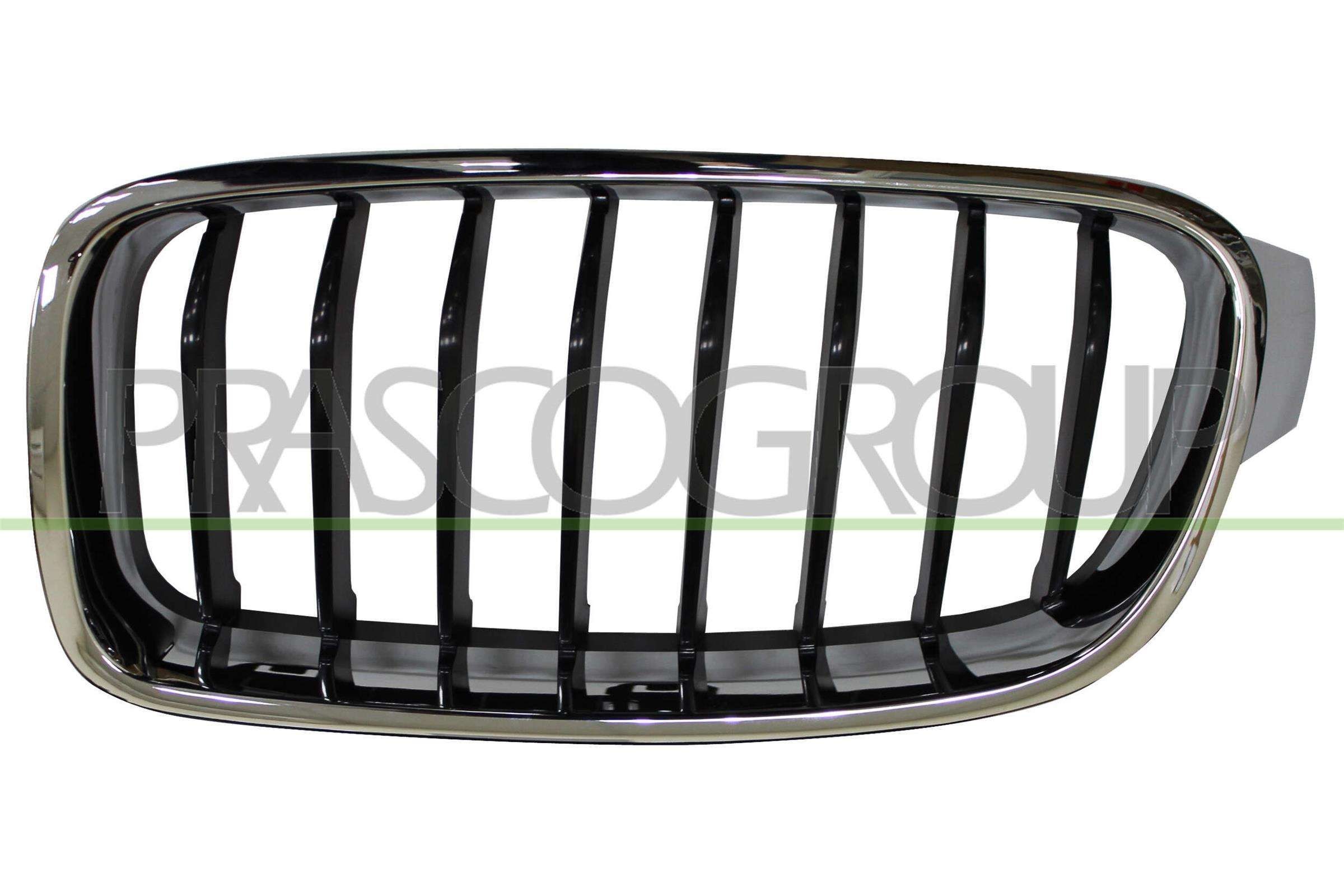 PRASCO Grille de calandre BM0282024 BM0282024 PRASCO Calandre de radiateur BMW pas cher