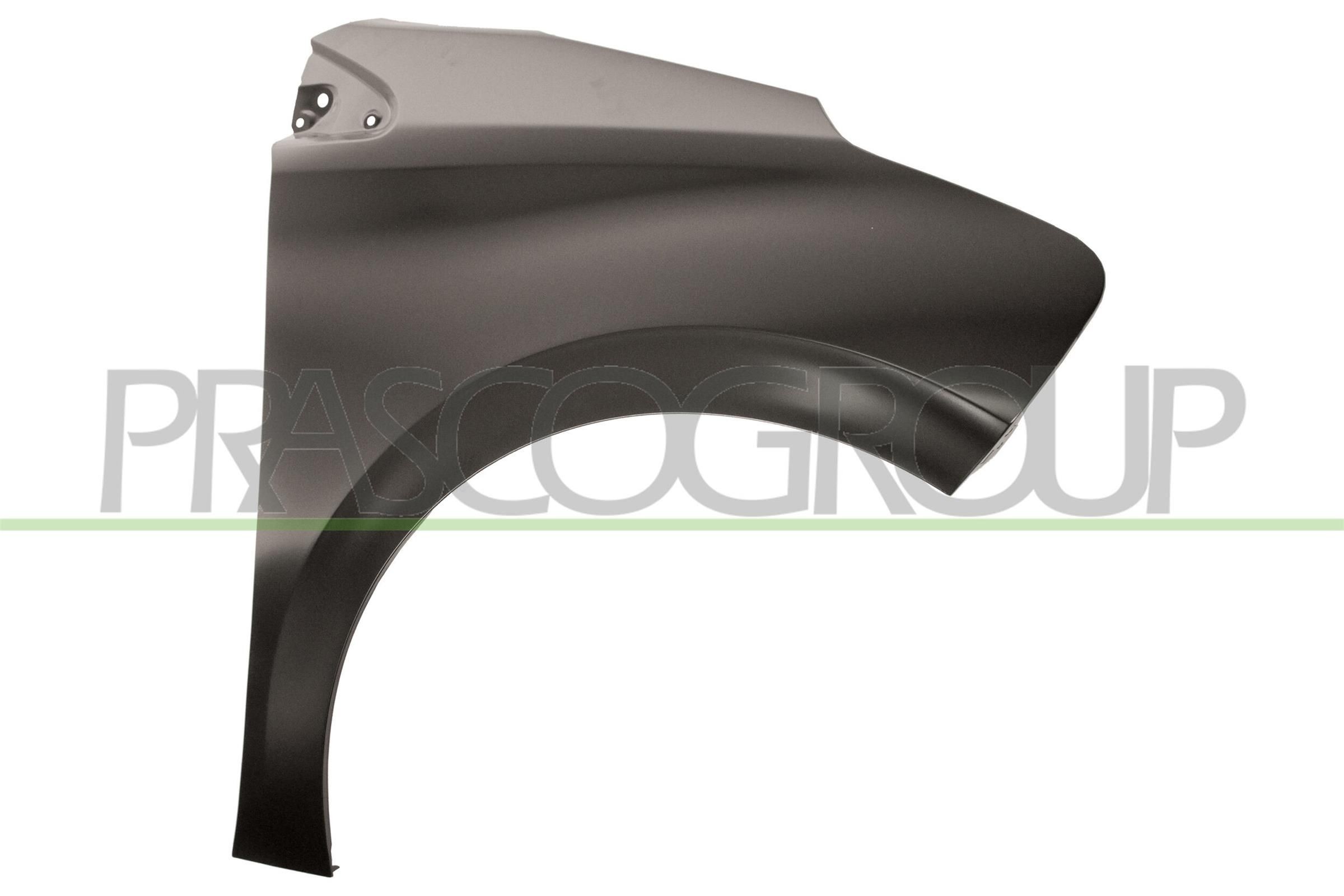 PRASCO Spatbord PG3263003 PG3263003 Voorspatbord en achterspatbord PEUGEOT 307 PRASCO