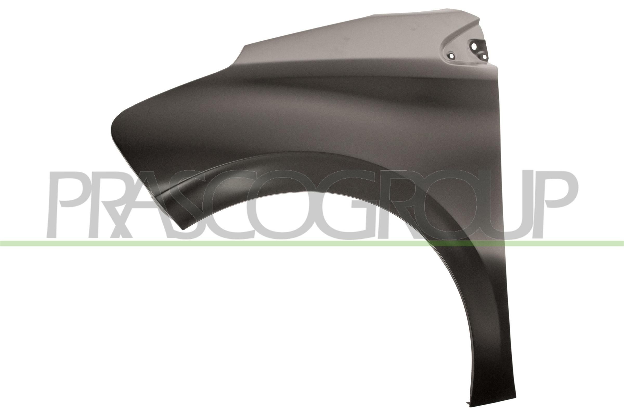 PRASCO Lokasuoja PG3263004 PG3263004 PRASCO Takalokasuoja ja etulokasuoja taka/etu + vasen/oikea FORD USA RANGER