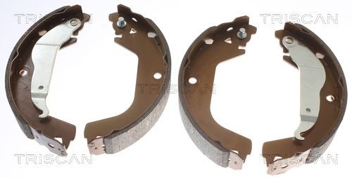 TRISCAN Σετ σιαγόνων φρένων 8100 21002 Σετ φρένων ταμπουρόφρενα TRISCAN Chevrolet AVEO 8100 21002