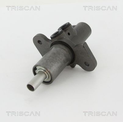 TRISCAN Bremsehovedcylinder 8130 11137 8130 11137 Hovedbremsecylinder BMW X5 TRISCAN