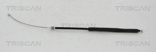 TRISCAN Ντίζα, φρένο ακινητοποίησης 8140 231125 8140 231125 Ντίζα χειροφρένου MERCEDES-BENZ C-class TRISCAN