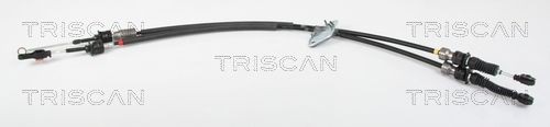 TRISCAN Cabo de aço, caixa de velocidades 8140 50701 TRISCAN 8140 50701 Cabo de aço, caixa de velocidades MAZDA 2 Hatchback (DE, DH) 1.5 (DE5FS) 103 cv 2007