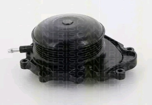 TRISCAN Vannpumpe 8600 23019 TRISCAN Vannpumpe IVECO 8600 23019