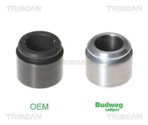 TRISCAN Teplotný spínač ventilátora chladenia 8625 174100 Teplotný spínač ventilátora chladenia TRISCAN GALANT 8625 174100 lacné
