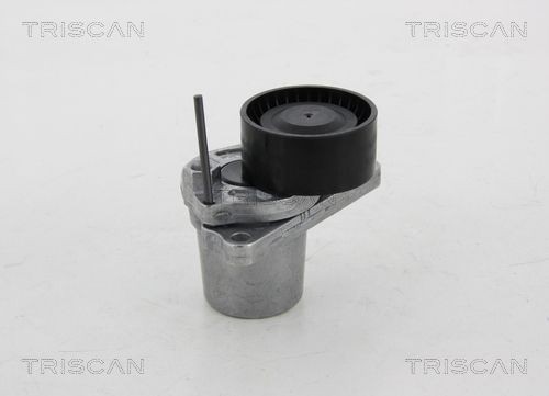 TRISCAN Strammehjul, kilerem 8641 251018 Remstrammerhjul TRISCAN ASTRA 8641 251018 billig